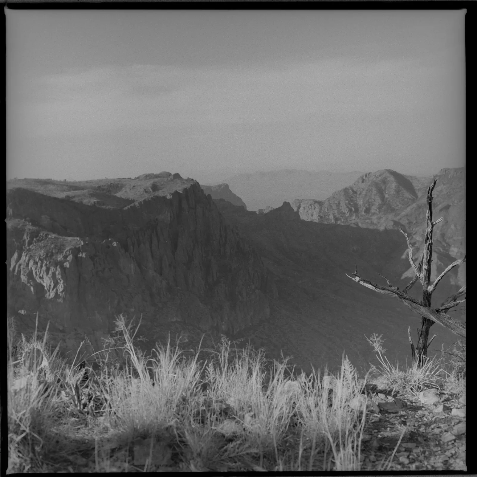 Sun Rising over the Chisos