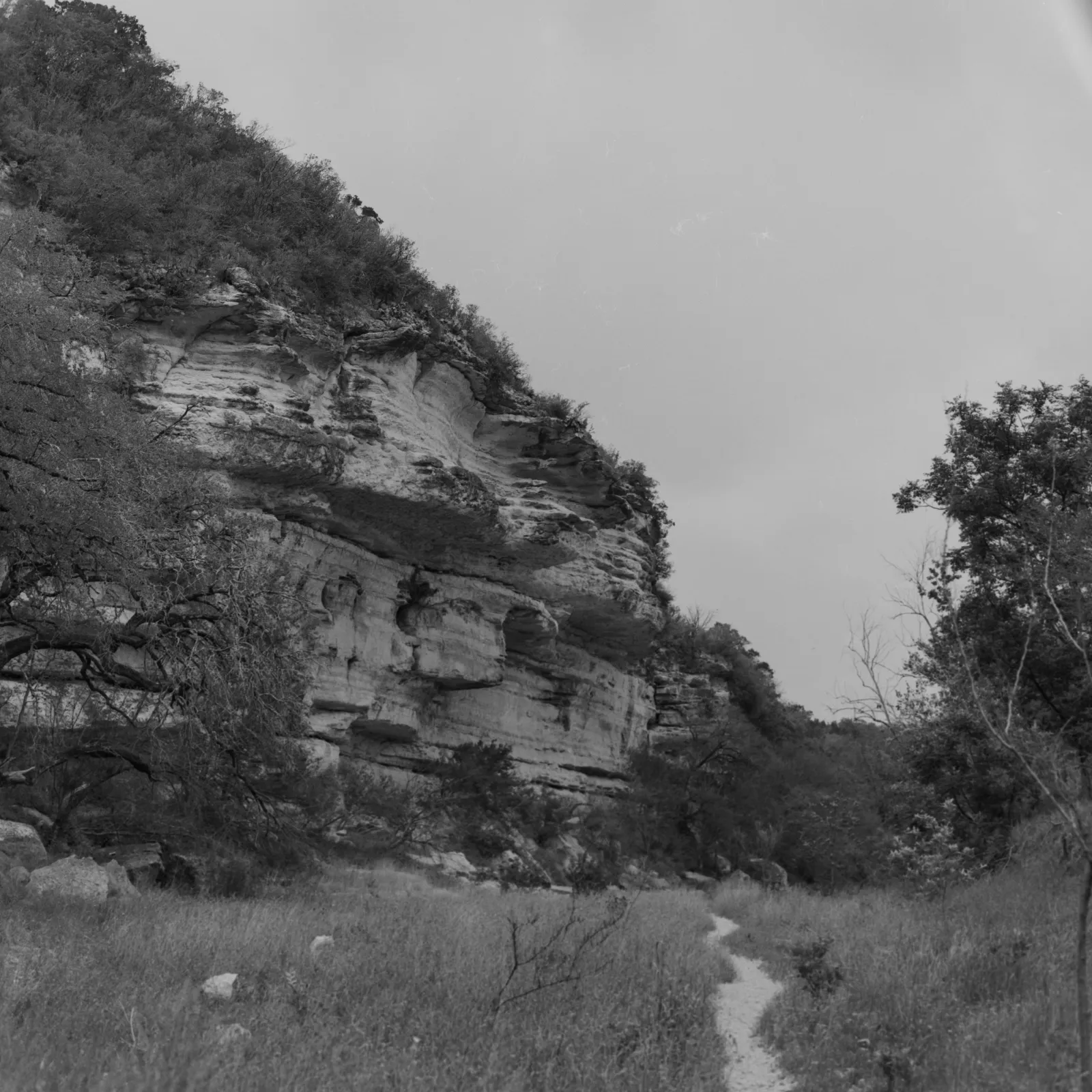 Following the trail through the greenbelt
