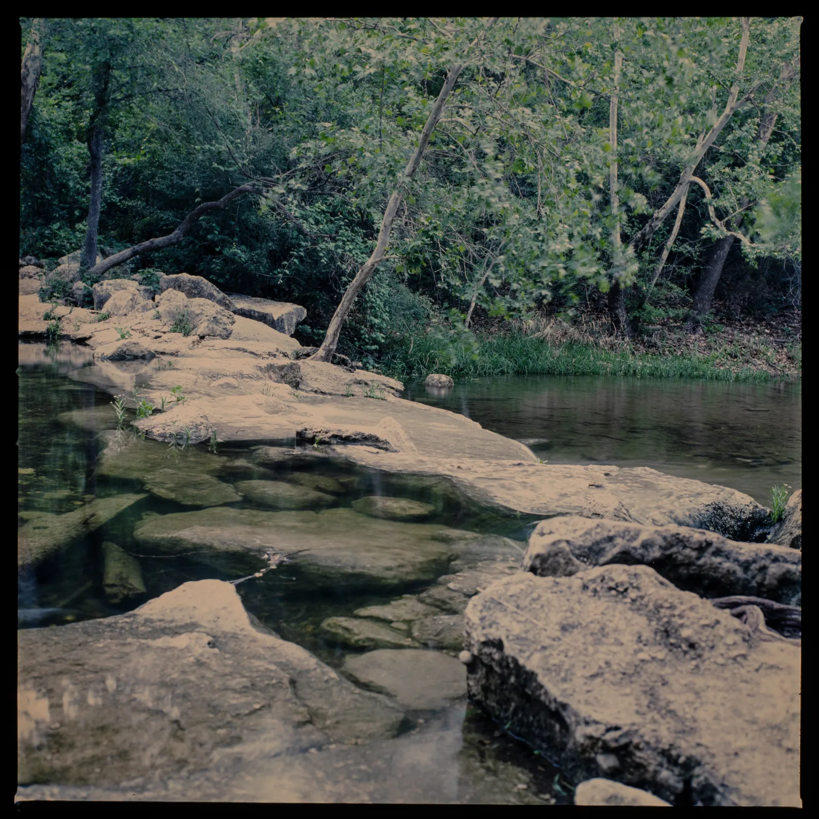 Clear water flowing through the upper Greenbelt a few days after a big storm