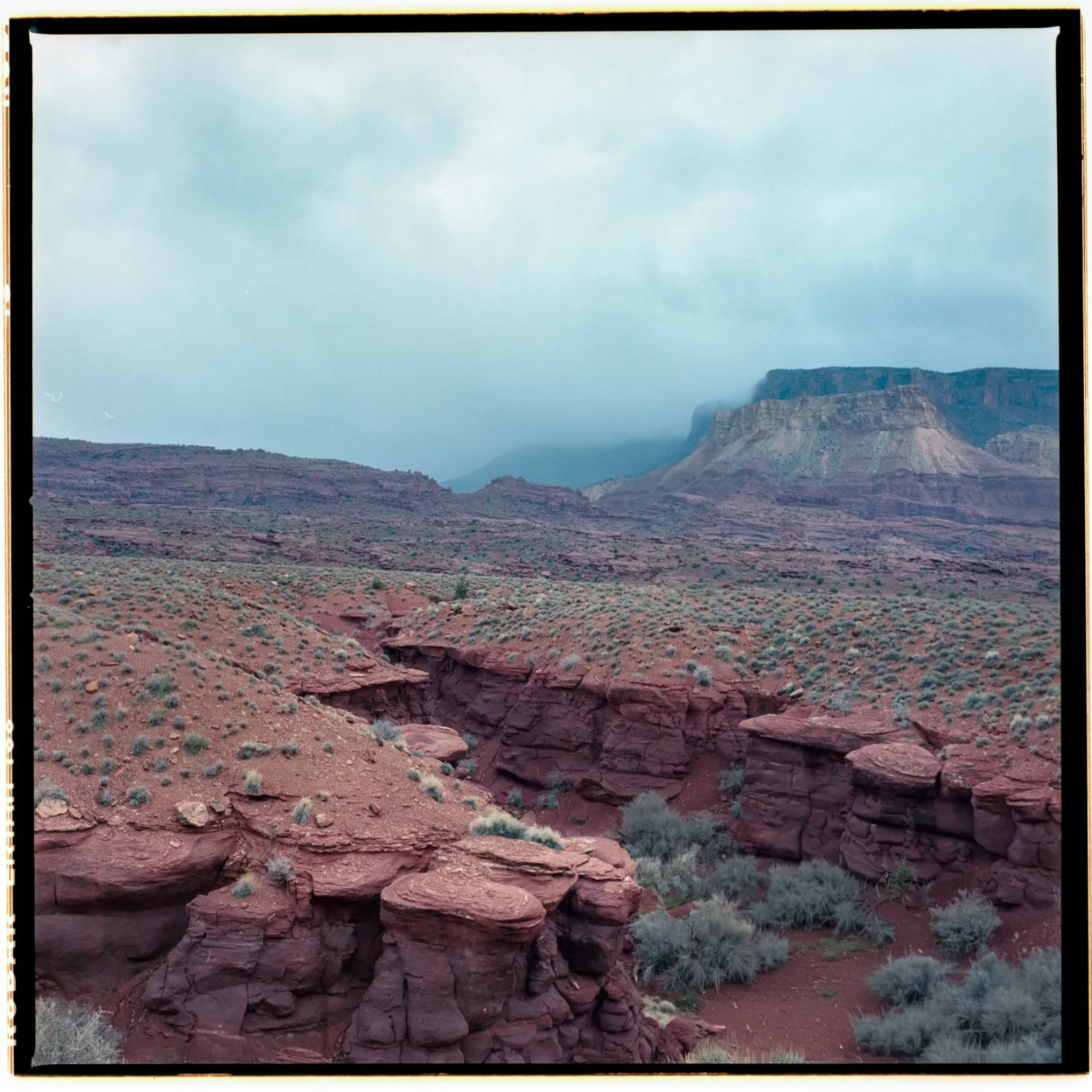2026 04 22 moab scans 008 positive