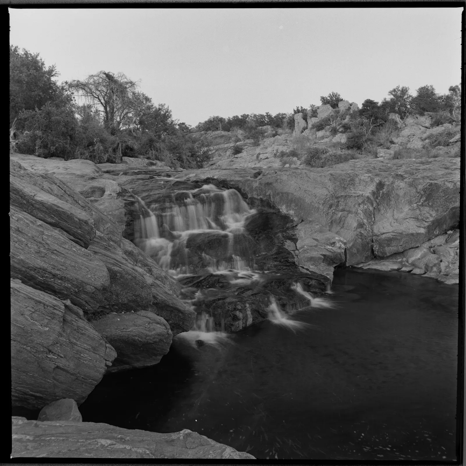 2026 07 15 neopan 238 positive